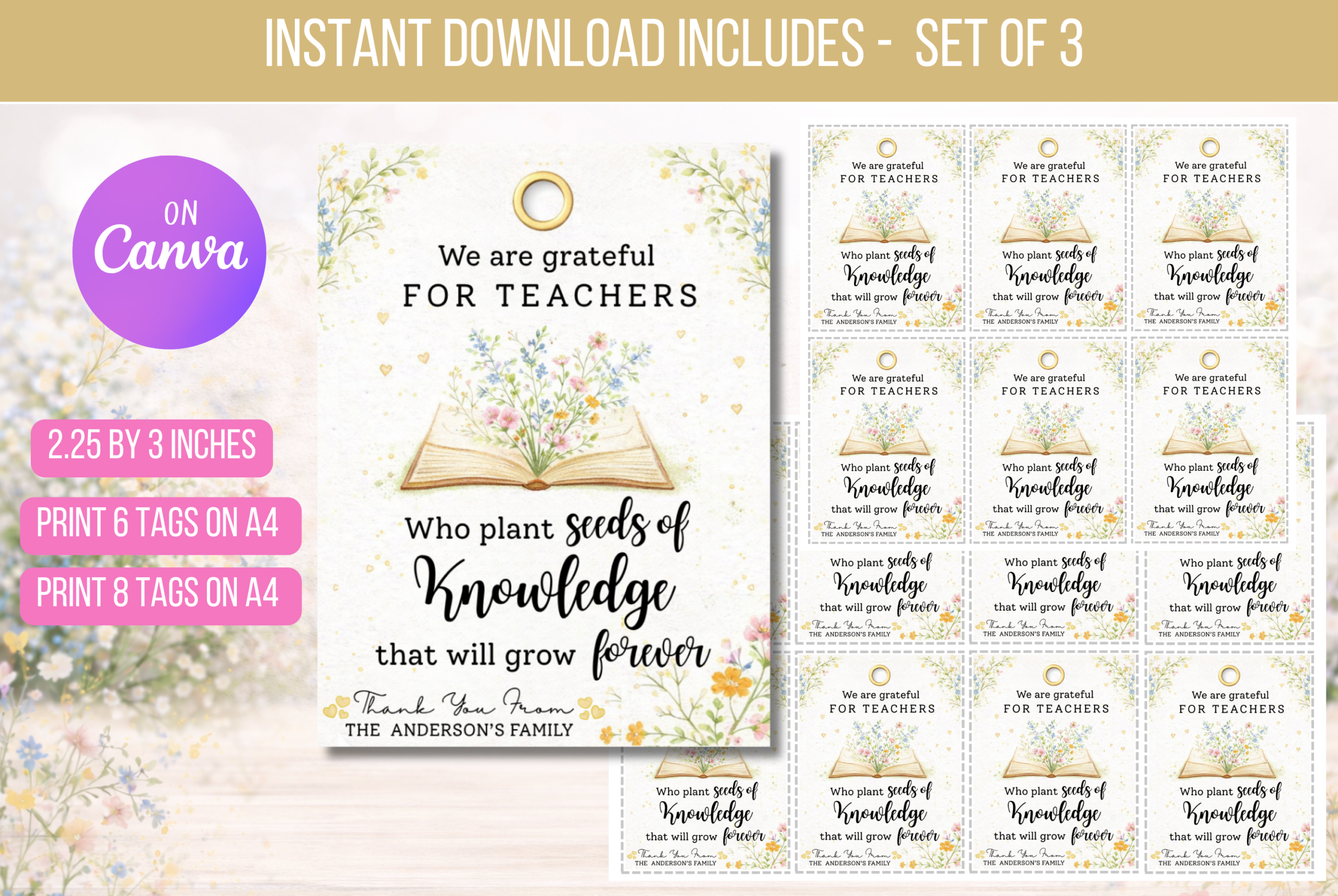 EDITABLE Seeds of Knowledge Teacher Appreciation Tag